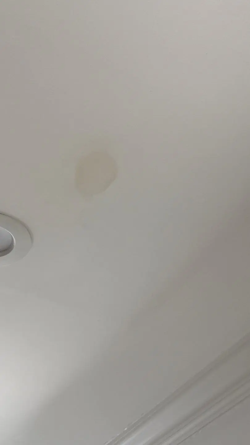 Ceiling stain after rain indicating a possible roof leak