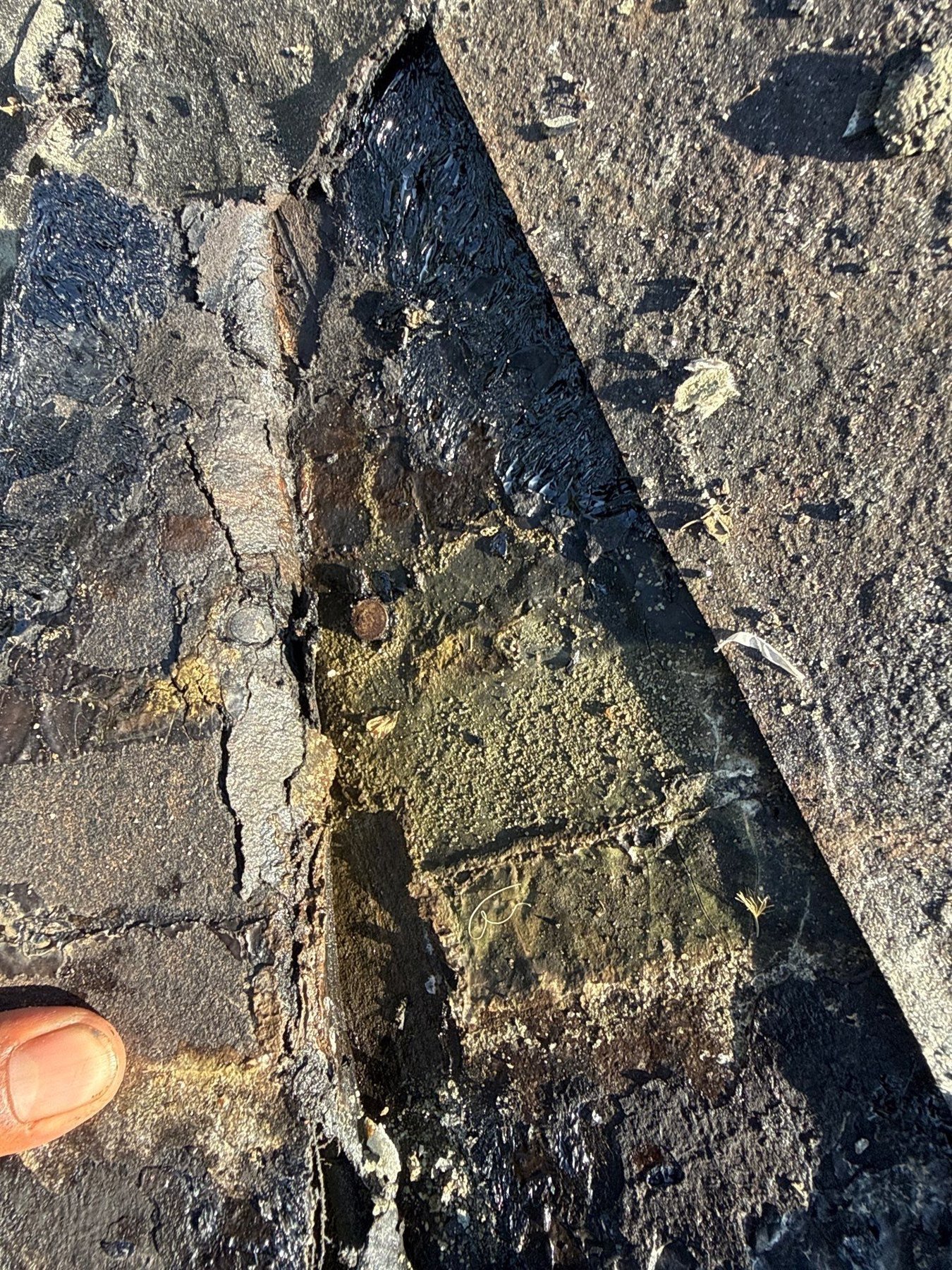 Deteriorated roofing material uncovered during a Wellington tile roof repair