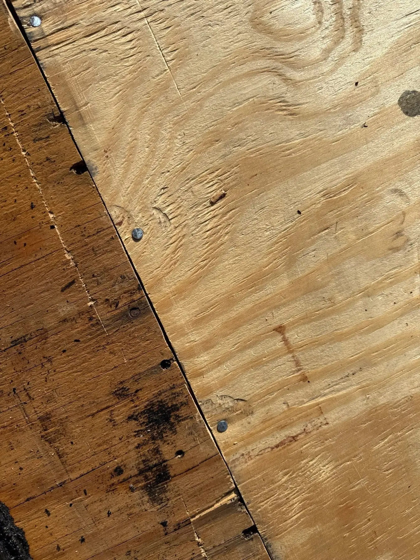 New plywood installed during a tile roof repair in The Isles at Wellington