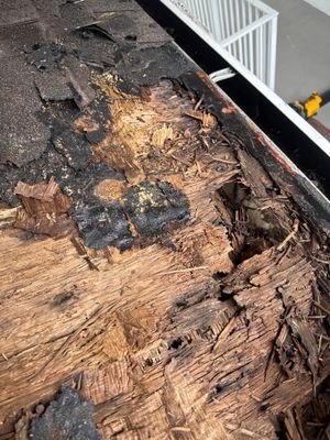 Deteriorated roof decking exposed during a Lake Worth roof repair