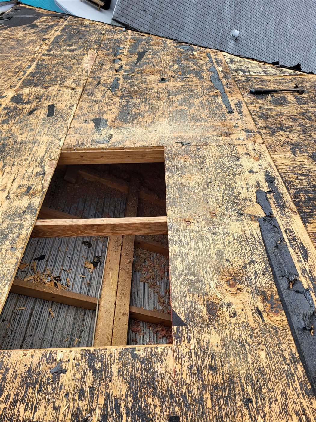 Roof deck opened for damaged wood replacement during a Wellington re-roof